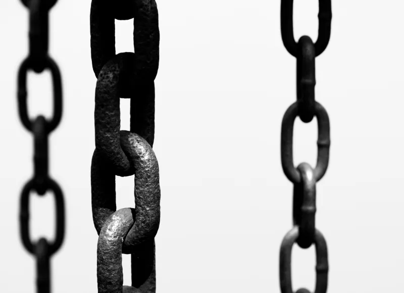 Link Mortality: Why Nearly Half Your Acquired Backlinks Disappear Before They Finish Paying Off
